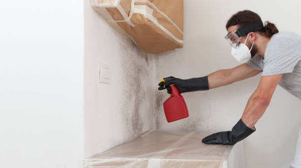 Professional Crawl Space Mold Remediation technician working in Marion, IL