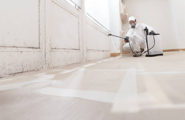 24/7 Emergency Crawl Space Mold Remediation experts in Marion, IL