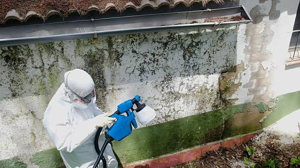 Top rated local Crawl Space Mold Remediation specialists in Marion, IL